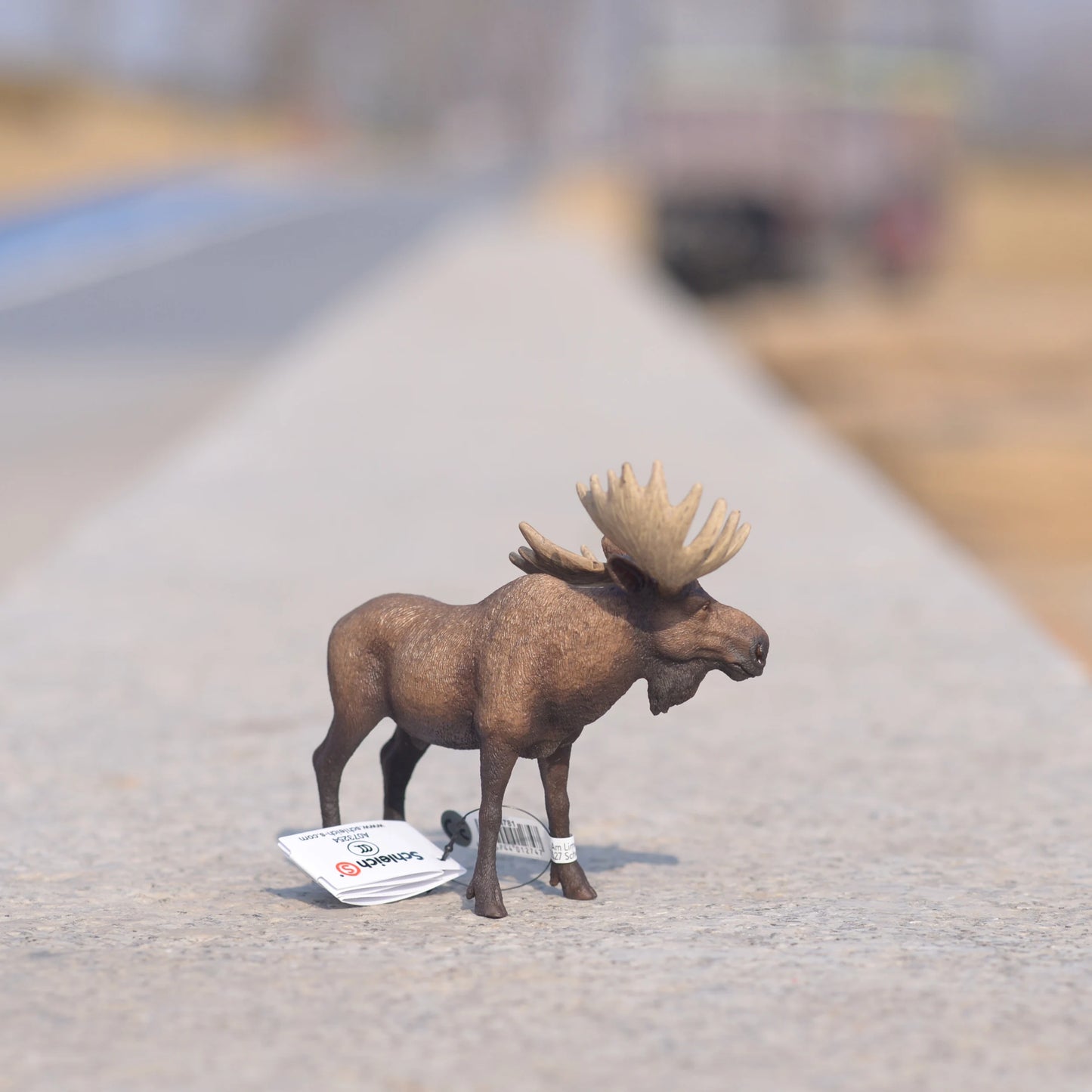 Figurines Animaux Style Schleich – Modèles 12 cm pour enfants