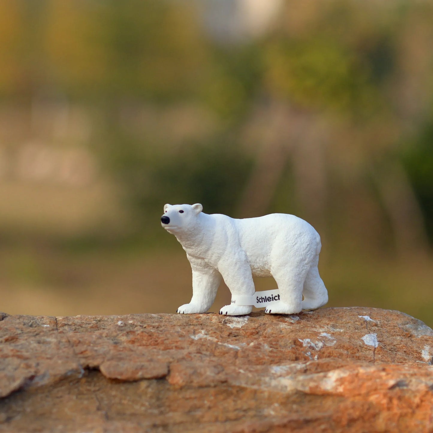 Figurines Animaux Style Schleich – Modèles 12 cm pour enfants