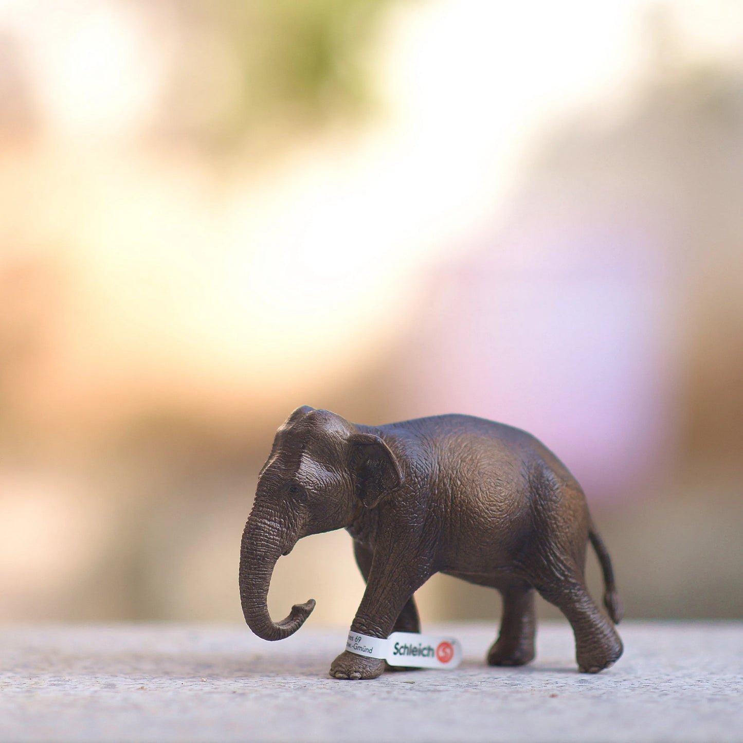 Figurines Animaux Style Schleich – Modèles 12 cm pour enfants