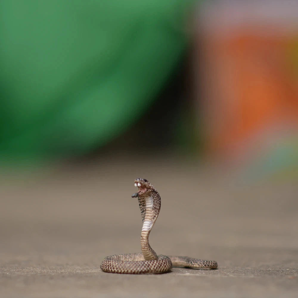 Schleich Style Figurines Animaux 12 Cm Édition Limitée Collection Pour Enfants Passionnés by Mon Labubu